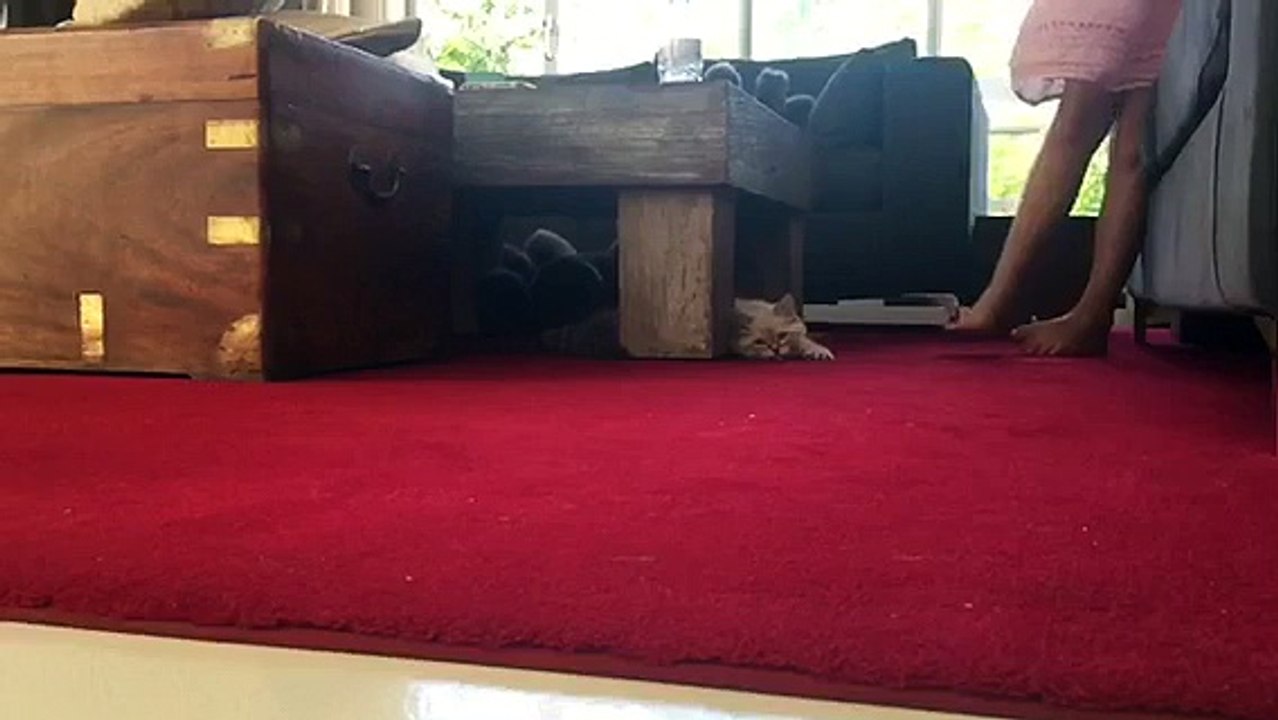 LANCOME MIRACLE De RosKosh