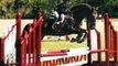 Passin The Class - Amazing Kid Safe / Jumping Horse For Sale