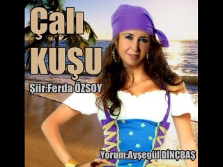 Çalı Kuşu