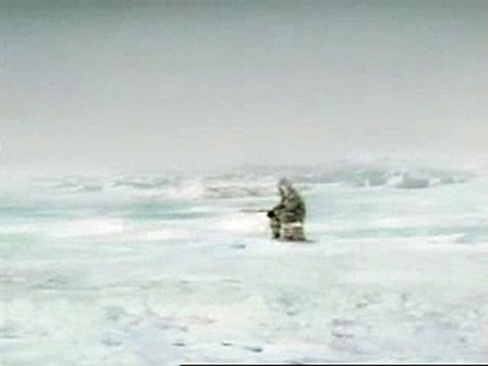 おもしろ動画・シャチ