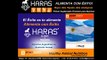 HARAS - El Primer Suplemento premium para Equinos