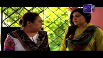 Raja Indar Episode 44 Full Ary Zindagi Drama July 16, 2015