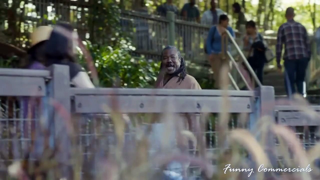 New Top 5 Most Funny Geico Tv Commercials - video Dailymotion