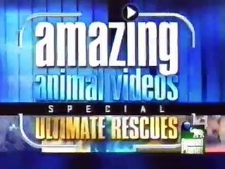 Amazing Animal Videos: Ultimate Rescues