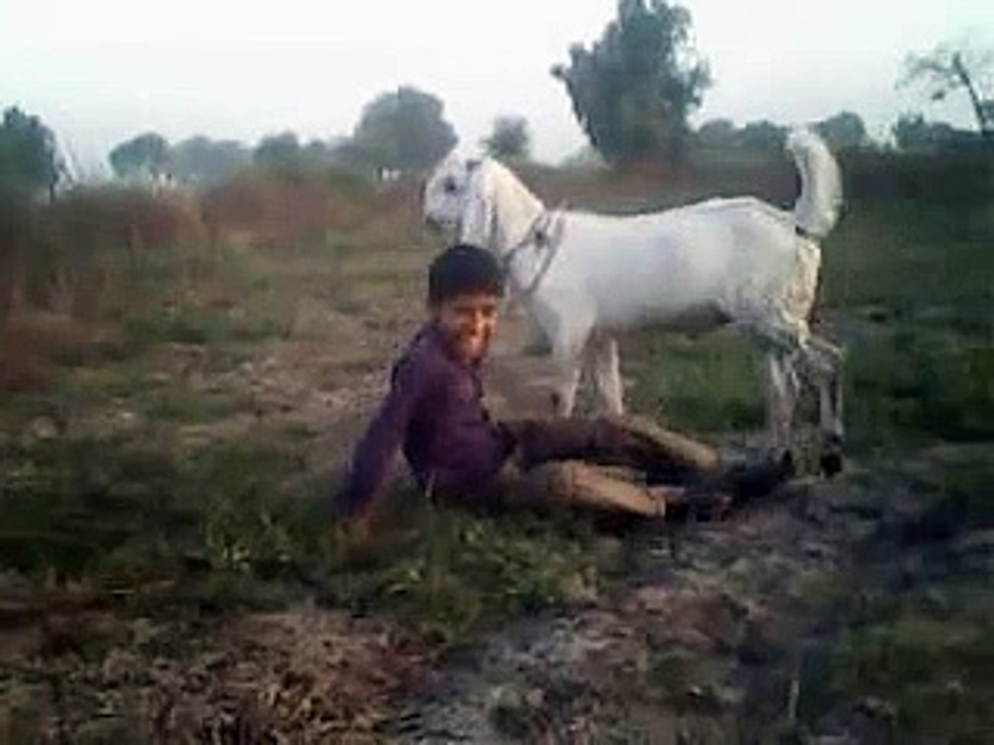 Junaid Jamshed Video Sex - Rehman goat sex(JUNAID) .3gp - video dailymotion