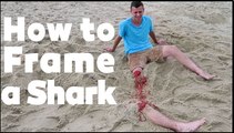 Shark-Attack Season Means One Thing: It'd Prank Time
