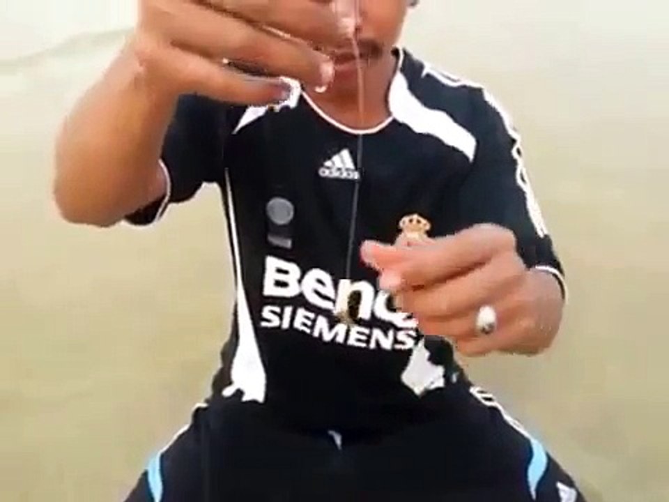 How to Catch Mantis Shrimp - Cara Tangkap Udang Lipan