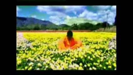 No estás deprimido , estás distraído - Facundo Cabral