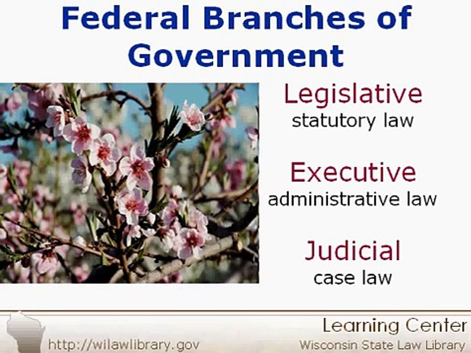 Introduction to Law