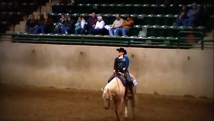 Horsemanship at the Dixie National Quarter Horse Show