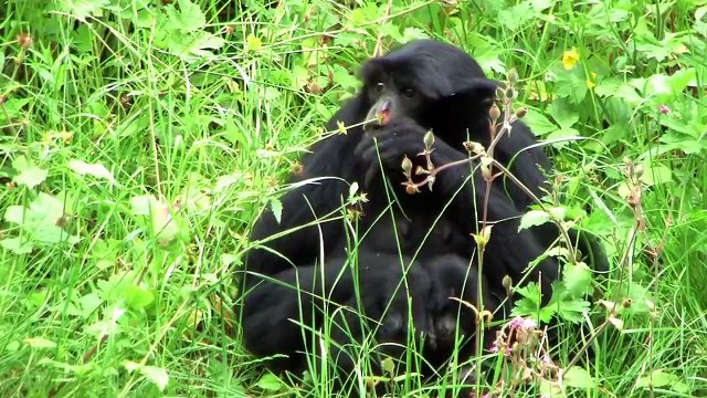 Manor House with Steve, Lisa and Baby Bryn - Manor House Wildlife Park, Tenby, Pembrokeshire, Wales