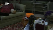 It's Always Sunny in Philadelphia - Kitten Mittens