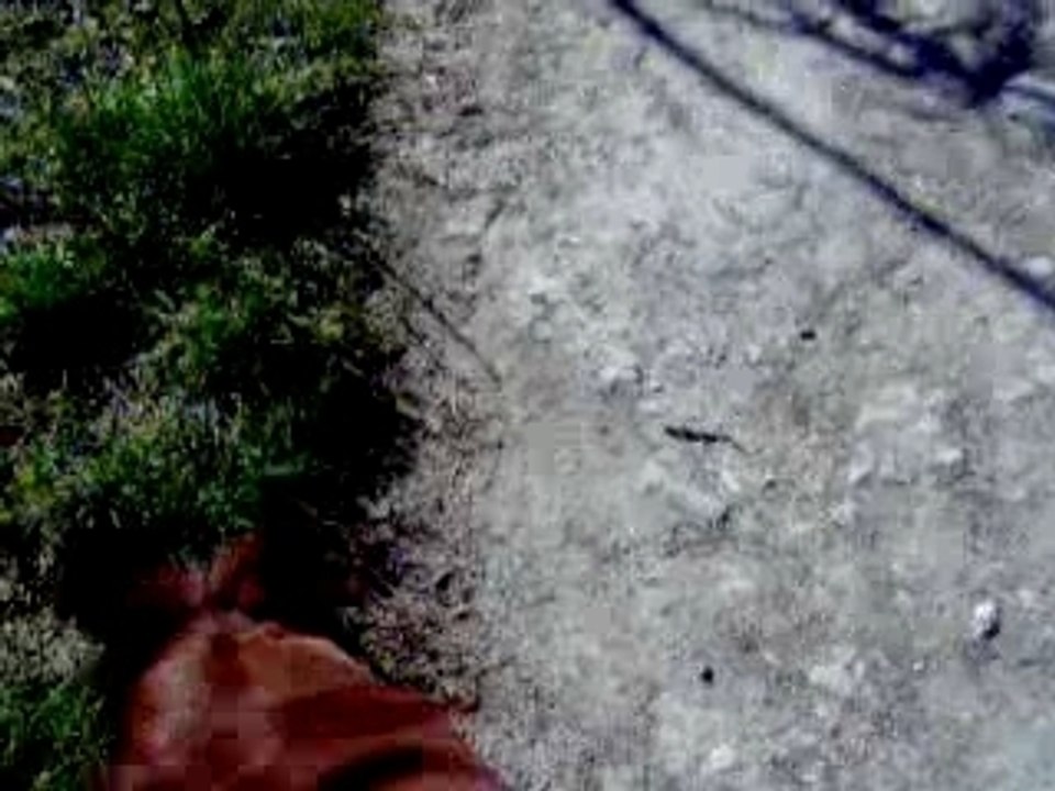 toujoureuh la baladeuh