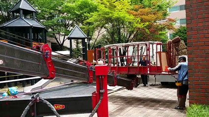 How Koreans Move...! (Prof. AKIA's Korean Live)