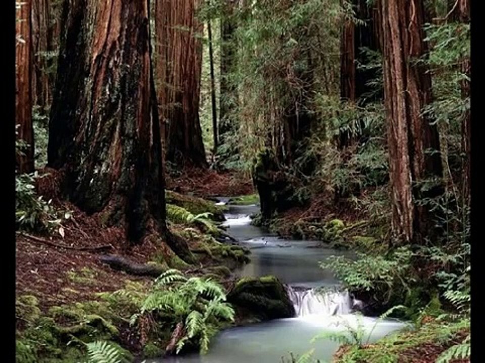 Onward, Christian Soldiers