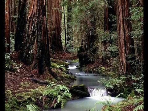 Onward, Christian Soldiers