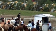 Écuries La Montée - Jessie - Horse for sale / Cheval à vendre