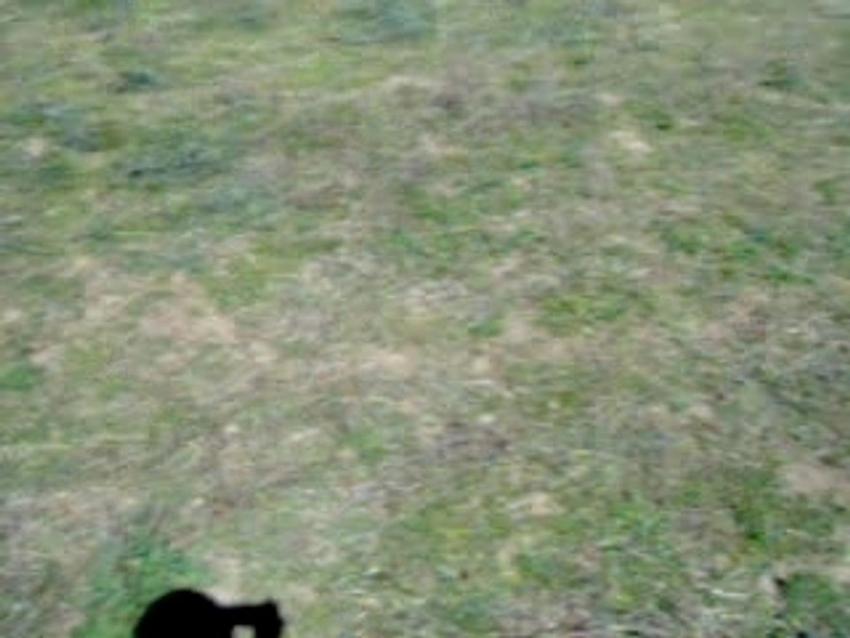 dans les champs en balade