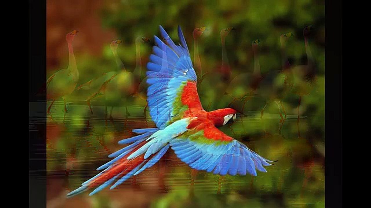 World's most amazing photos.