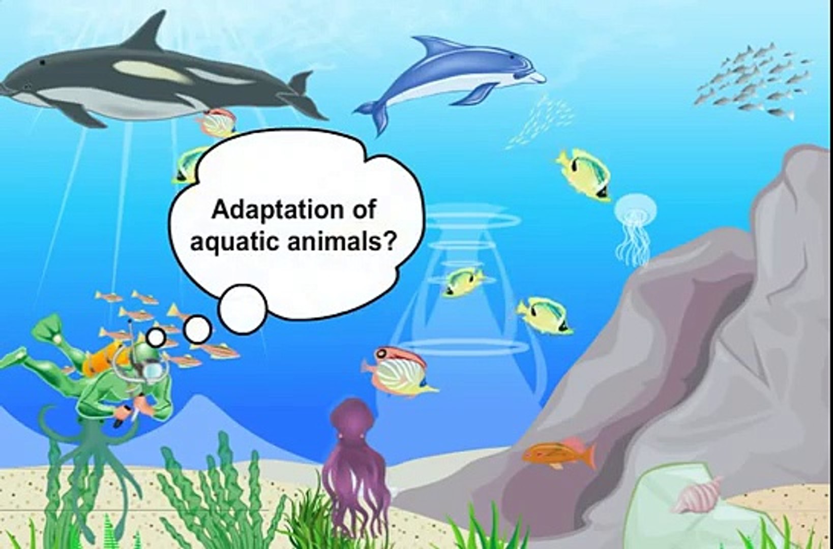 Adaptation In Aquatic Animals Class 6 Science Living Organisms And Surroundings Meritnation Com Video Dailymotion