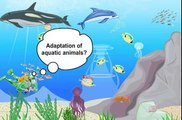 Adaptation in Aquatic Animals- Class 6 Science- Living Organisms and Surroundings (Meritnation.com)