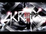 Skrillex - Drop the Bass -