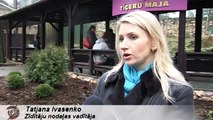 Rīgas ZOO tīģerēns Klifa pirmā pastaiga