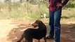 animal welfare organizations feeding dog Kurtköy Patileri video 8