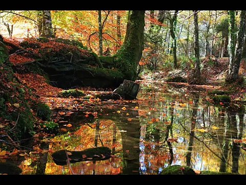 Portuguese Bagpipes/ Gaita Portuguesa - A saia da Carolina *Celtic Music*