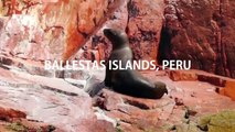 2015 Traveling Video :: South America :: 여행 비디오 :: 남미 여행 동영상
