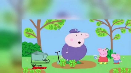 PEPPA PIG   4x29   Profumo