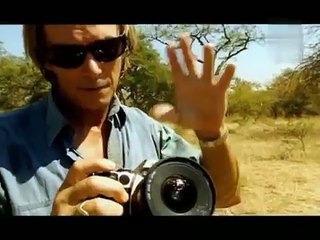 Dokumentation: Die faszinierende Geschichte der 7 Schlangen und ihrer Bisse 🐍