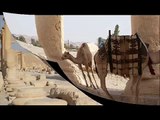 Siria: Visita al sito archeologico di Palmira (Palmyra)