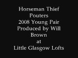 2008 Horseman Thief Pouter Pair