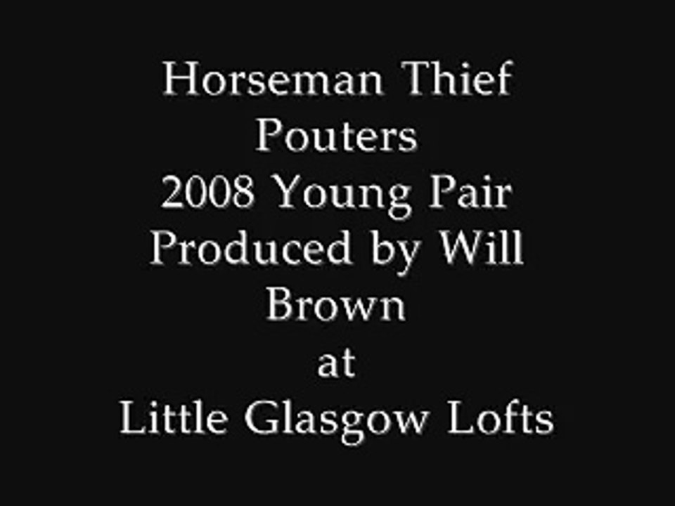 2008 Horseman Thief Pouter Pair