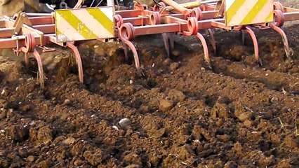 FIAT 1300 DT SUPER IN ESTIRPATURA