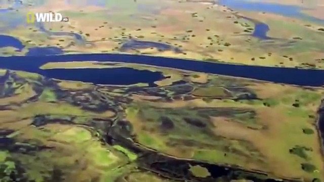 Animal Planet 2015 - Discovery Channel - Wildlife Animals - Hyena Documentary [720 HD]