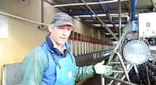 Cleaning milking cups on a NZ dairy farm