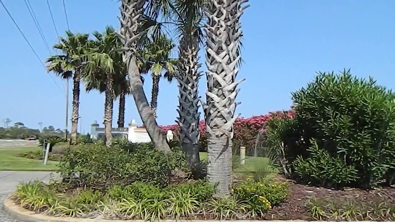 Morgantown Fort Morgan Gulf Shores AL