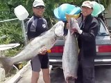 KayakFishing years of collection by johnny ceviche