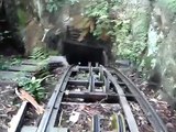 Blue Mountains Scenic Railway (steepest rail in the world)