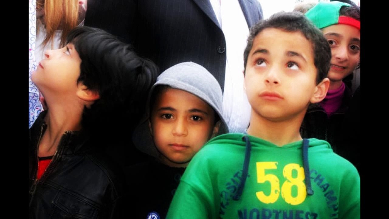 Palestine flag from Ireland