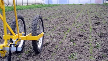 Désherbage de semi avec houe maraichere / Cultivateur à dents