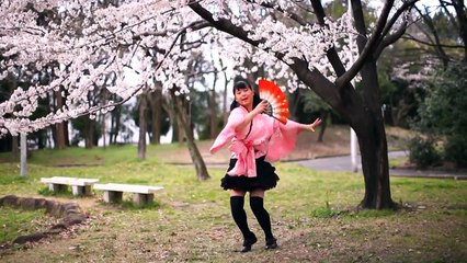 【足太ぺんた】千本桜 踊ってみた【桜の下で】
