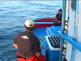 Pesca de Atún (2)