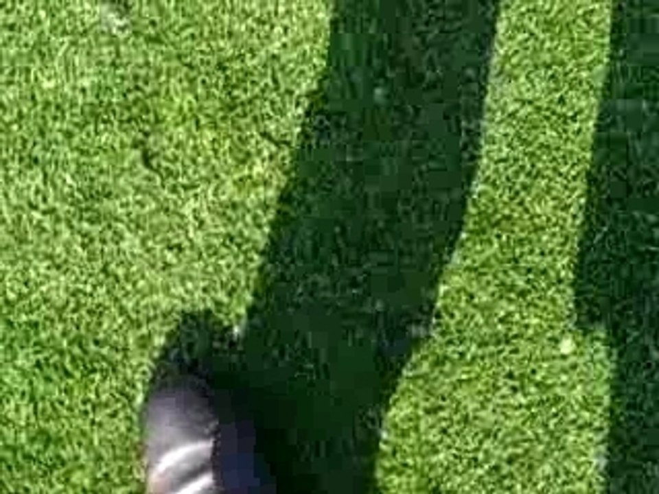 my perfect swing by j.l.