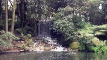 Cascada del Jardín Botánico de Bogotá José Celestino Mutis