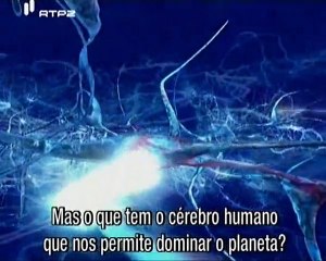 O Que Nos Torna Humanos - Ep.2 - What Make Us Human - RTP2