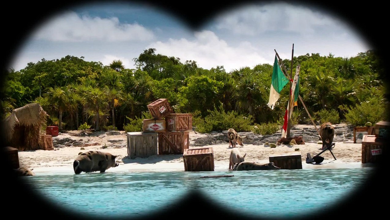 Le teaser d'"Angry Birds 2"