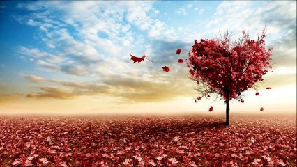 The best | Very romantic melody | emotional piano music